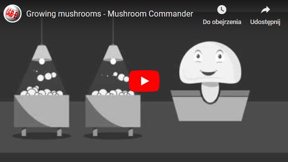 生长蘑菇时控制空气参数 - 蘑菇指挥官