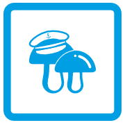 Mushroom Commander: control del microclima en las salas de cultivo